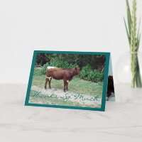 Dsta-Merci-personnaliser