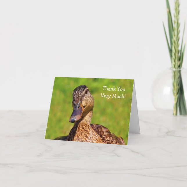 Carte De Remerciements Duck Mallard Nature (Devant)