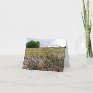 Carte De Remerciements dunes gris paysage de prairie