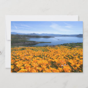 Carte De Remerciements Eau Lac California Avec Des Pépites D'Or