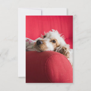 Carte De Remerciements ecs orange et blanc en chill