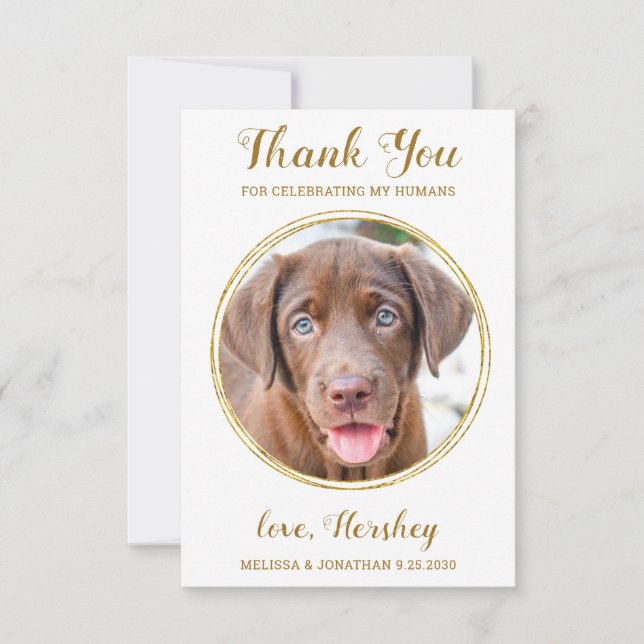 Carte De Remerciements Elegant Chic Gold Custom Chien Photo Mariage pour  (Devant)