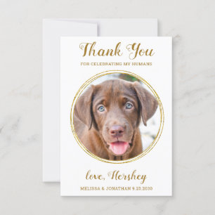 Carte De Remerciements Elegant Chic Gold Custom Chien Photo Mariage pour 