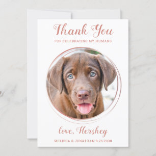Carte De Remerciements Elégant Rose Gold Custom Pet Photo Dog Mariage