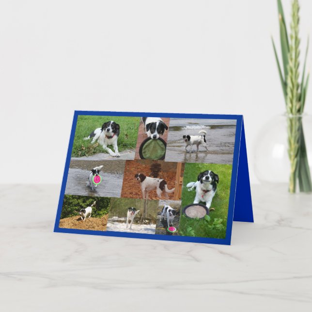 Carte De Remerciements Emily (Devant)