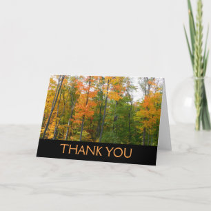 Carte De Remerciements Érables en automne Photographie de la nature