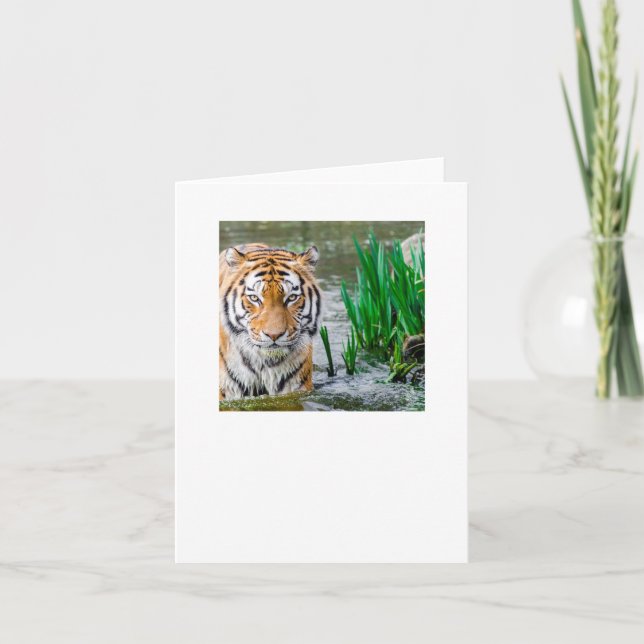 Carte De Remerciements essai (Devant)