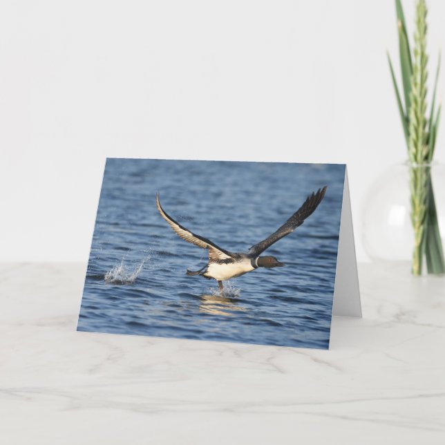 Carte De Remerciements Exécution de Loon (Devant)