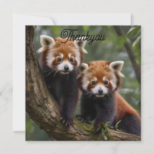 Carte De Remerciements "Explorateurs en haut de l'arbre : Pandas rouge bé