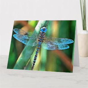 Carte De Remerciements Fantasy Dragonfly