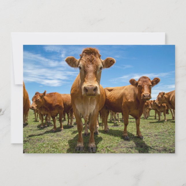 Carte De Remerciements Farms | Brown Cow Group (Devant)