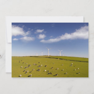 Carte De Remerciements Farms   Cows Near Windmill Farm