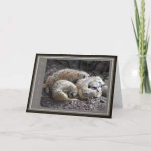 Carte De Remerciements Faune de Meerkat