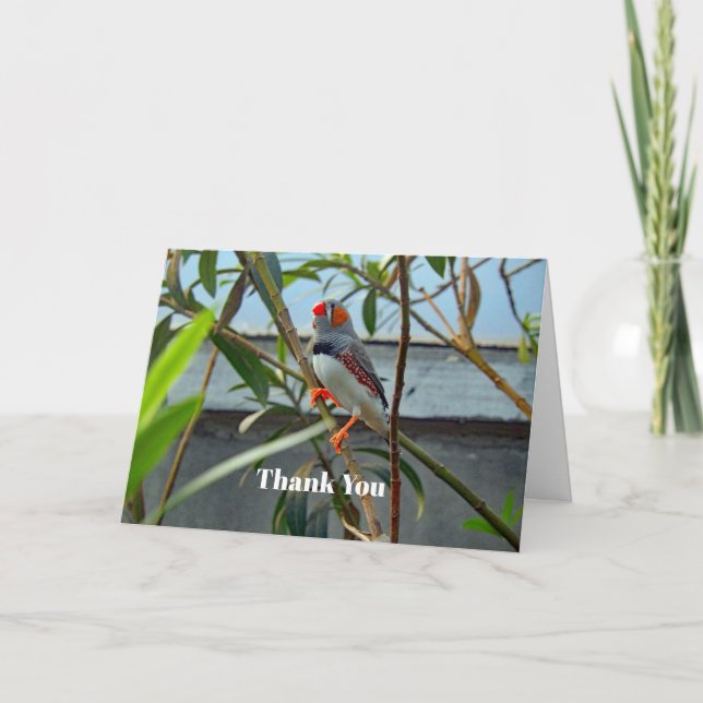 Carte De Remerciements Faune Zebra Finch (Devant)