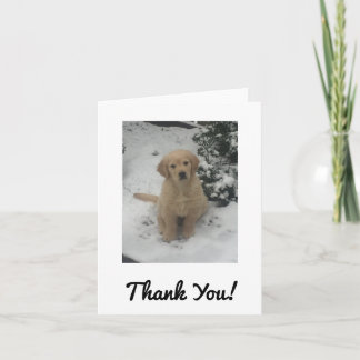 Carte de remerciements - Festive Golden Retriever.