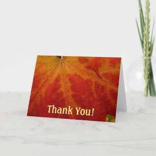 Carte De Remerciements Feuille d'érable rouge Abstraite Automne Photograp