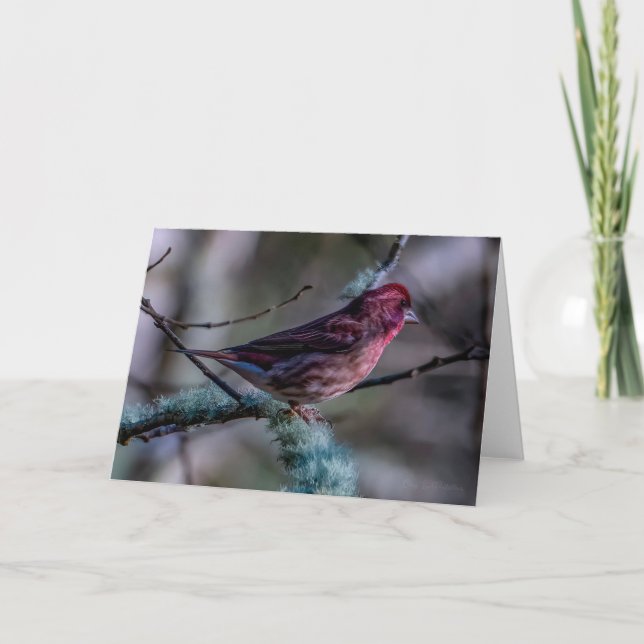 Carte de remerciements Finch violet (Devant)