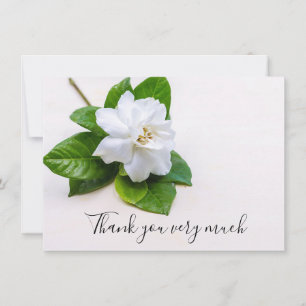 Carte De Remerciements Fleur blanche de gardenia sur fond en bois