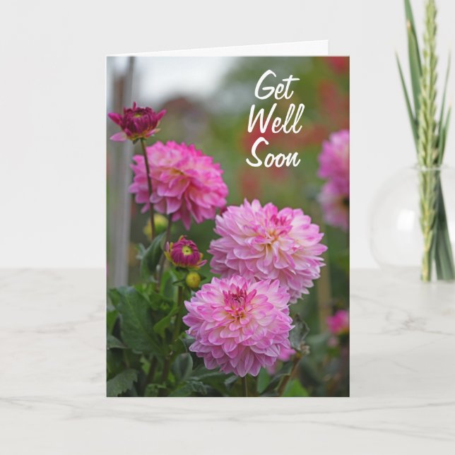 Carte De Remerciements Fleur Dahlia rose et blanc s'amuser bientôt (Devant)