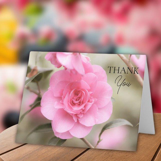 Carte De Remerciements Fleur de Camellia rose doux (Créateur téléchargé)