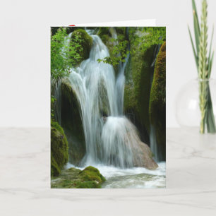 Carte De Remerciements Fleur de cascade Fleur d'orchidée Paix Amour Desti