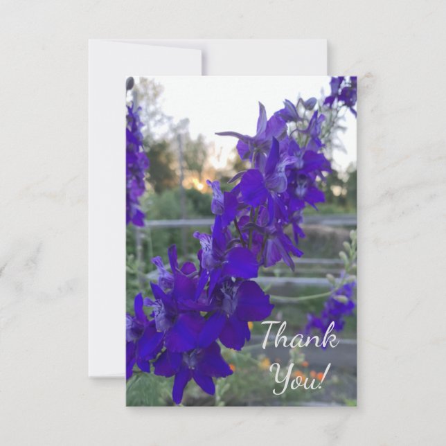 Carte De Remerciements Fleur violette au coucher du soleil (Devant)
