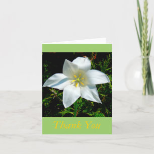CARTE DE REMERCIEMENTS FLEURS BLANCHES SATINY /CARTE DE REMERCIEMENTS/PHO