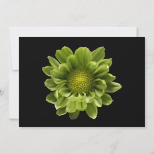 Carte De Remerciements Fleurs Chrysanthème vert