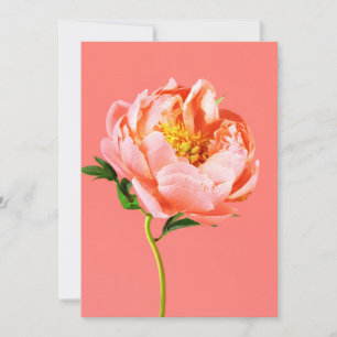 Carte De Remerciements Fleurs   Coral Peony Blossom