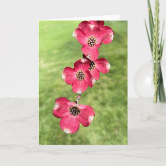 Carte De Remerciements Fleurs de bois de chien rose