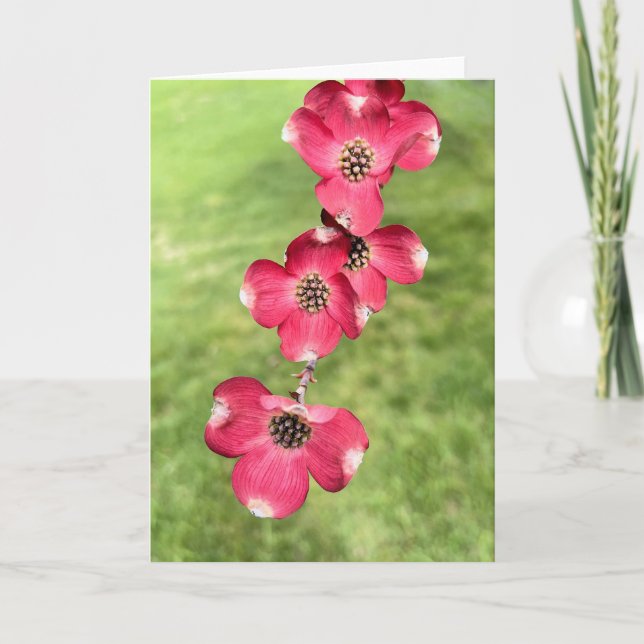 Carte De Remerciements Fleurs de bois de chien rose (Devant)