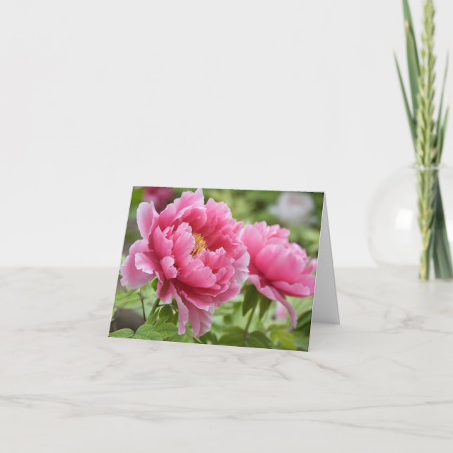 Carte De Remerciements Fleurs de Paeonies Roses Fleur Blank (Devant)