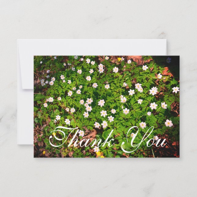 Carte De Remerciements Fleurs de printemps d'anémones en bois blanc (Devant)