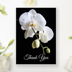 Carte De Remerciements Fleurs d'orchidées blanches sur la sympathie des f