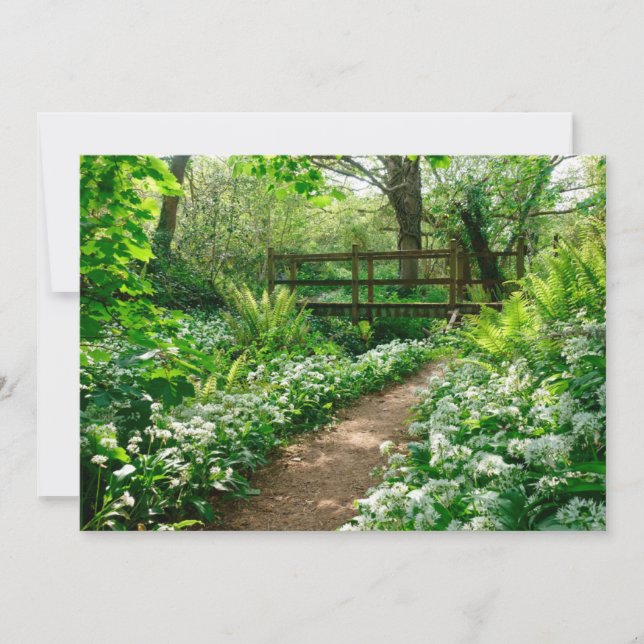 Carte De Remerciements Fleurs | Fleurs sauvages blanches dans la forêt (Devant)