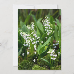 Carte De Remerciements Fleurs   Lily de la vallée Suède