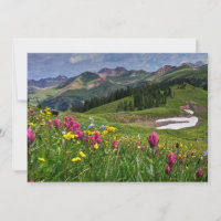 Flowers (homonymie) | Wildflowers Durango