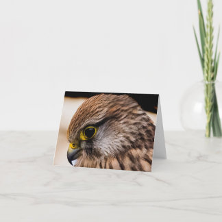 Carte De Remerciements Folded Thank You Card