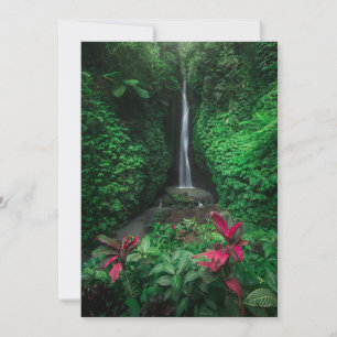 Carte De Remerciements Forêt   Cascades Leke Leke Waterfalls à Bali