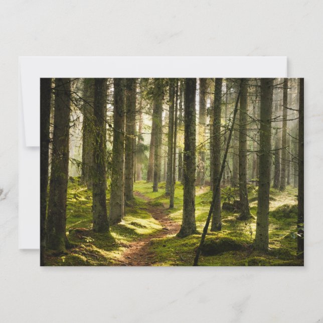 Carte De Remerciements Forêt | Forêt boréale Suède (Devant)