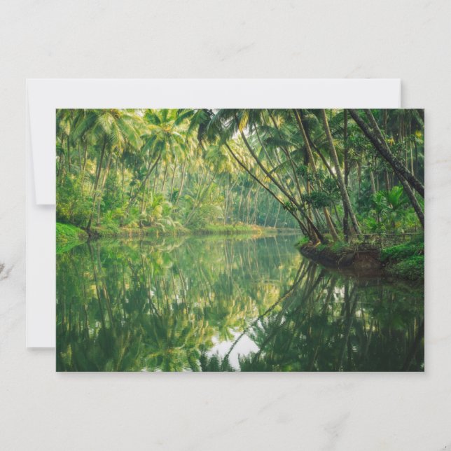 Carte De Remerciements Forêt | Forêt de mangrove (Devant)