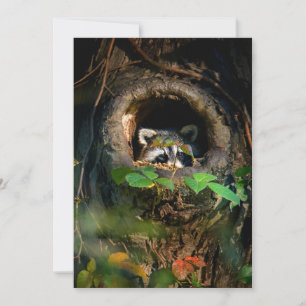 Carte De Remerciements Forêt   Raccoon Peeking