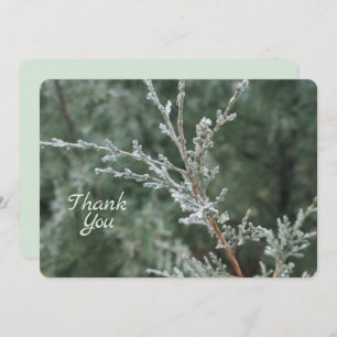 Carte De Remerciements Frosty À feuillage persistant Noël Nature Photo