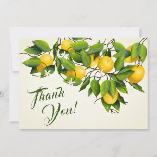 Carte De Remerciements Fruit Vintage au citron moderne   MARIAGE