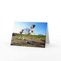 Fubby a tiré des madelets.