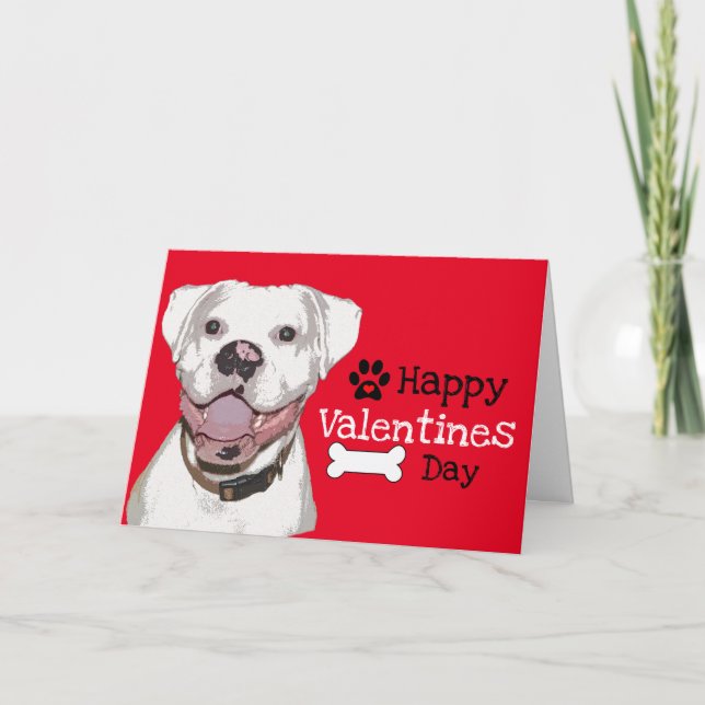 Carte De Remerciements Fun White Boxer Chien Valentine (Devant)