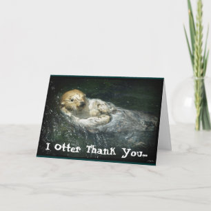 Carte De Remerciements Funny Sleeping SEA Otter Thank You Card