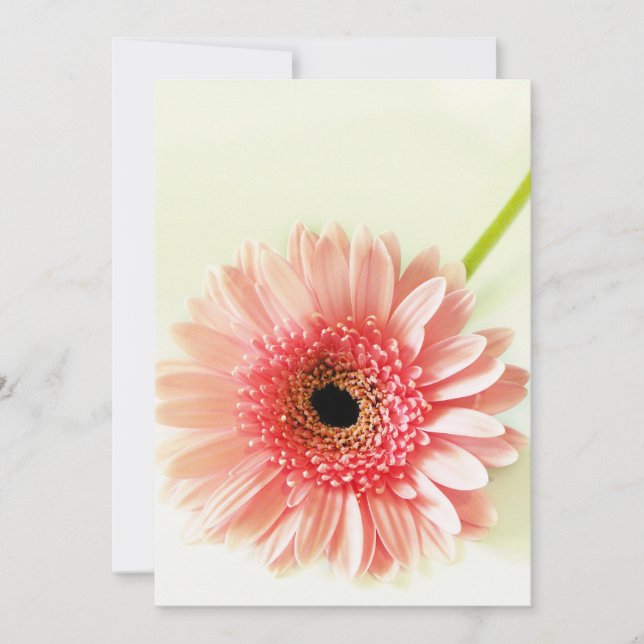 Carte De Remerciements Gerbera Daisy (Devant)