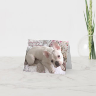 Carte De Remerciements Get Well Card French Bulldog Floral Shabby Chic