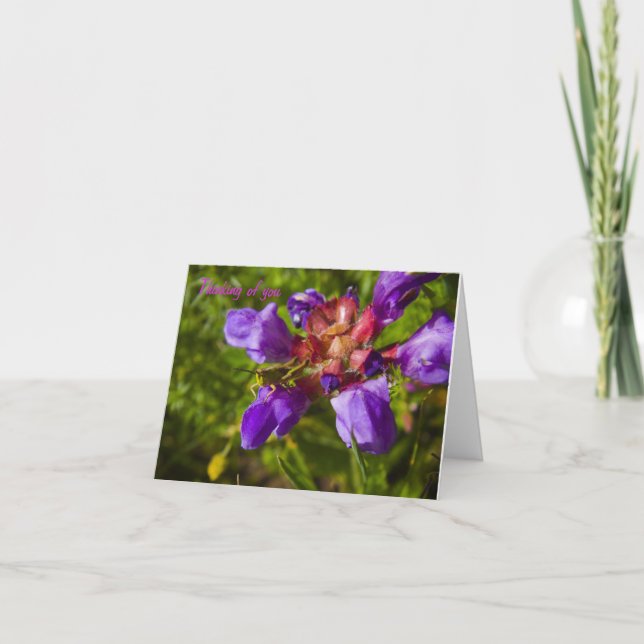 Carte De Remerciements Gibier flowers et insects (Devant)